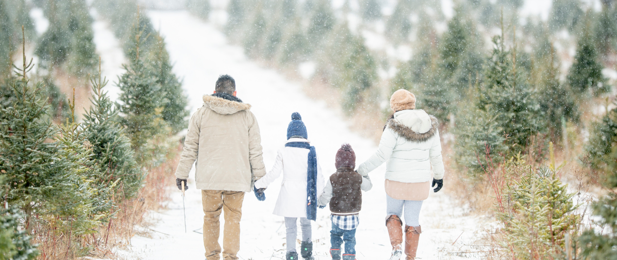 famille hiver vacances noel